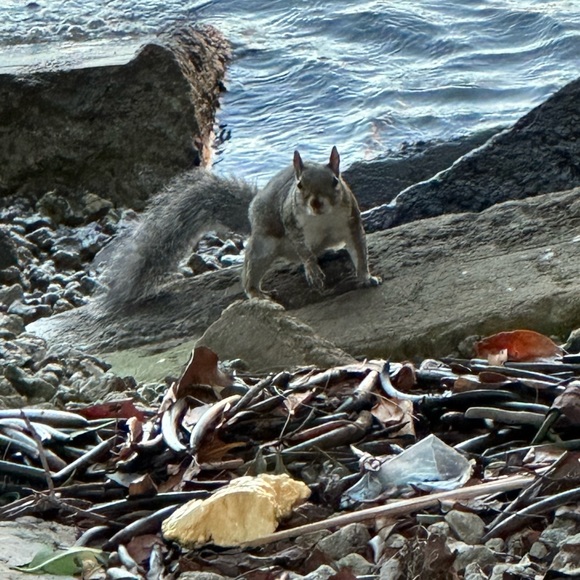 HI GUYS IM POTIT I USED POSH SIDEKICK TO SHARE MY CLOSET USED MY  REFERRAL CODE - Picture 10 of 16